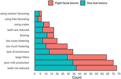 Investigating risk factors behind piglet facial and sow teat lesions through a literature review and a survey on teeth reduction